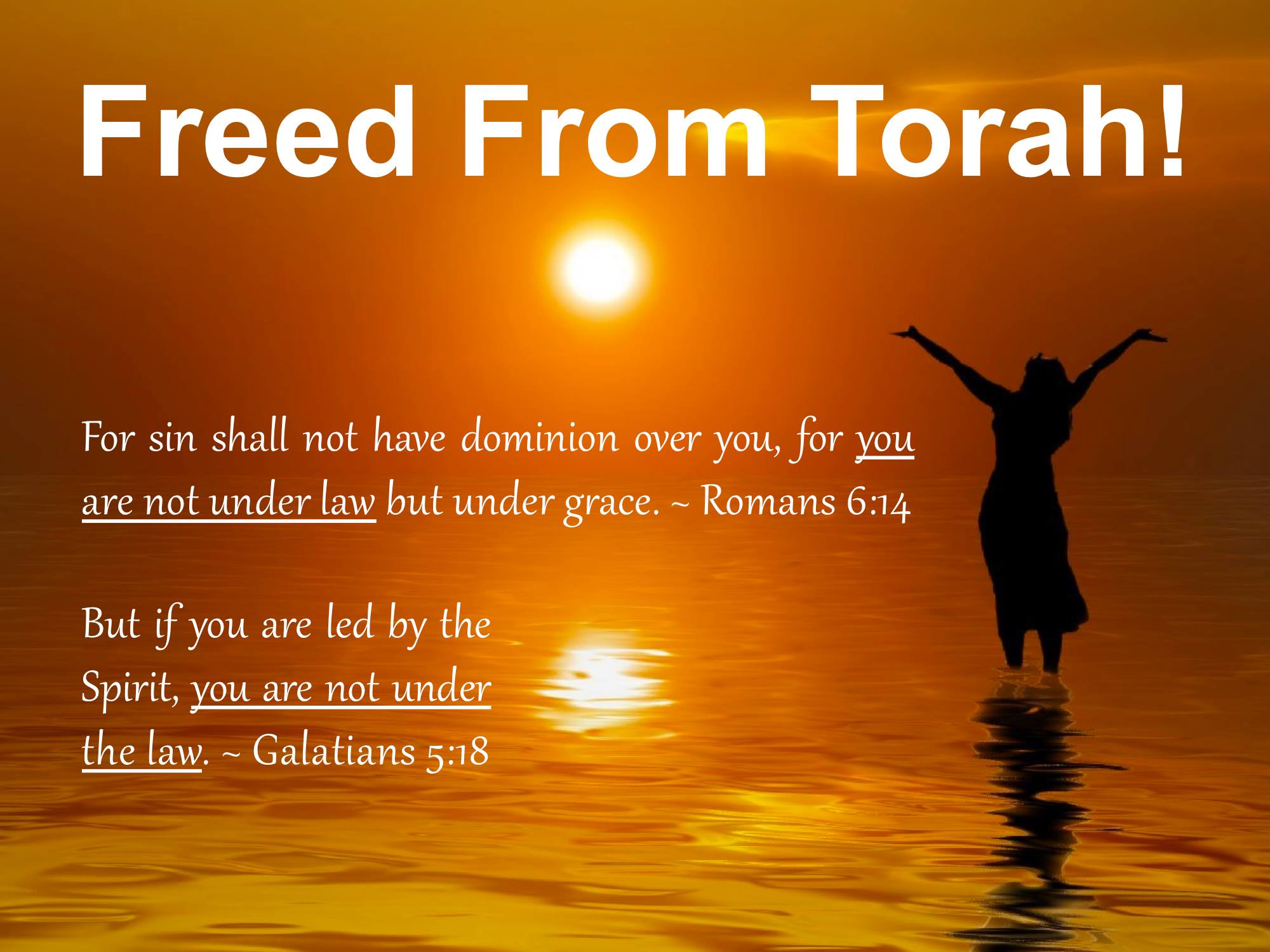 1402856_760372623978503_1960320619_o