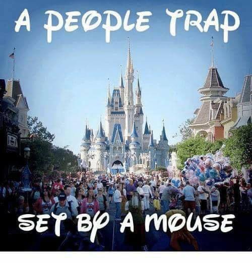 21762101_10155700202176354_1380664160844573302_n (1)