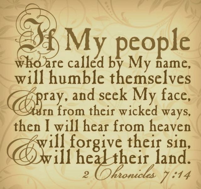 71895312767ec8aaa877793d9d2b0e4d