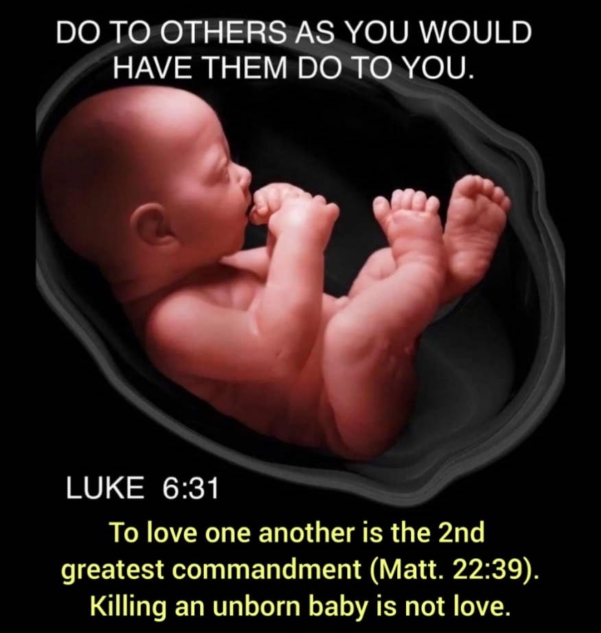 290750732_1976972559139645_1945959138609296001_n