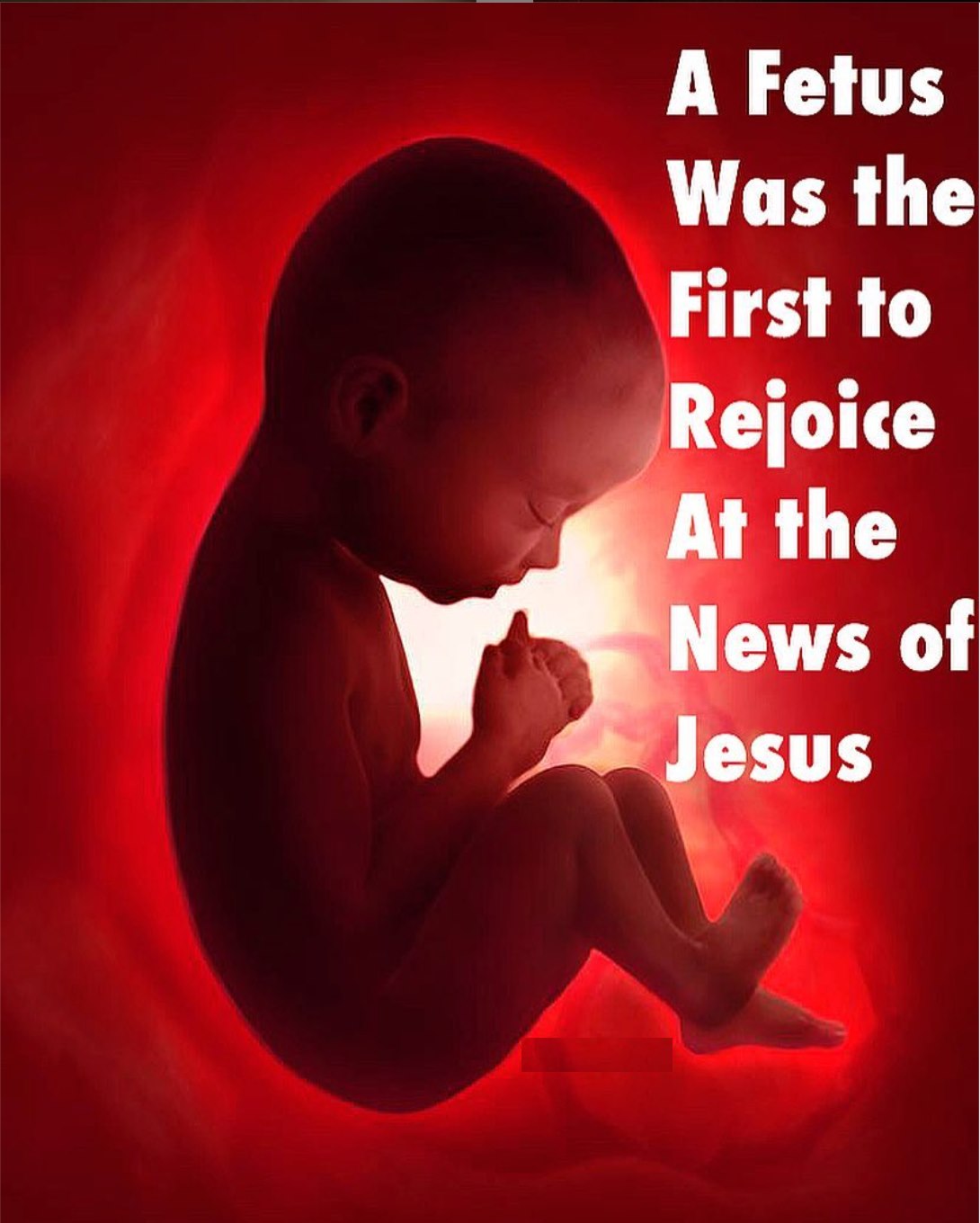 67207388_1118111715025738_39777921216282624_n