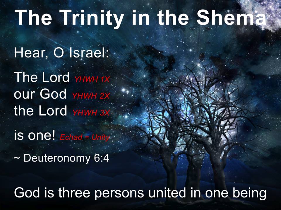 1208868_699443416738091_1446845933_n