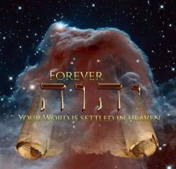 12549036_10207290596278347_1624939644529114015_n