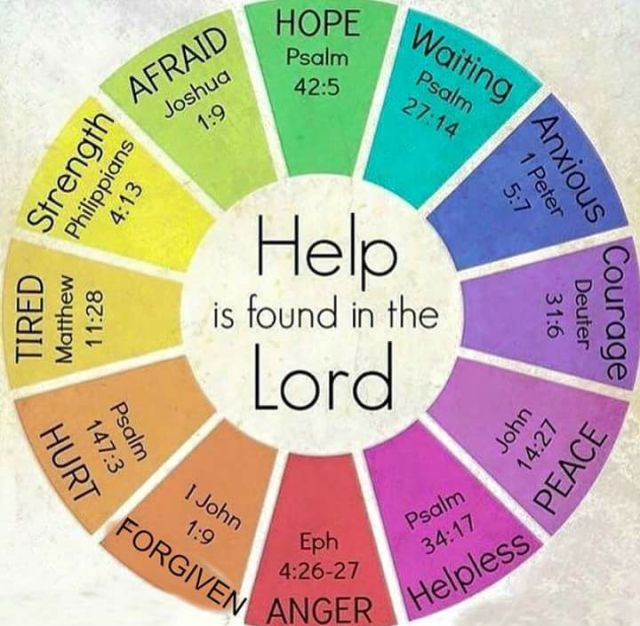 20246425_1608009792542973_4129279788407073653_n