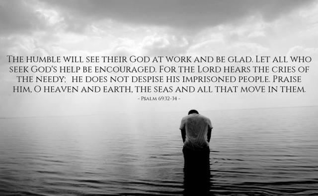 20247935_1407297436015636_7643849787053404588_o