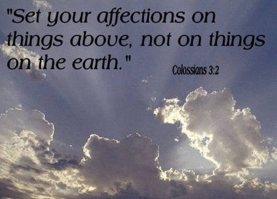 17157396_605276302975951_2617143683172908136_o