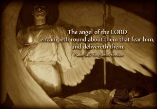 10377526_1500602503592972_2501994750309584722_n copy