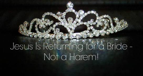 12045591_1499430610376828_8276578166769432594_o (1).jpg