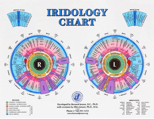 iridology-jensen_grande.jpg