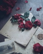 tumblr_pg9ivopiZW1wdnxxyo1_1280